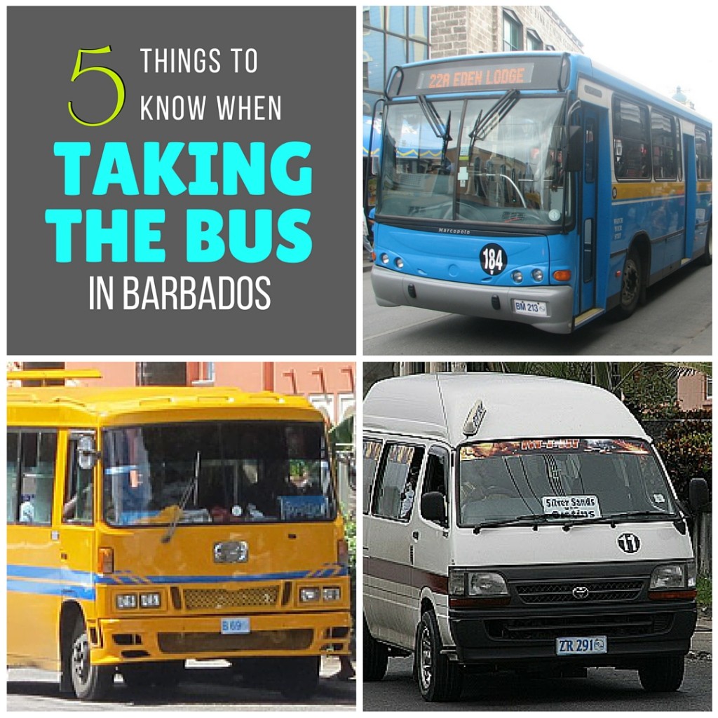 Taking the Bus in Barbados